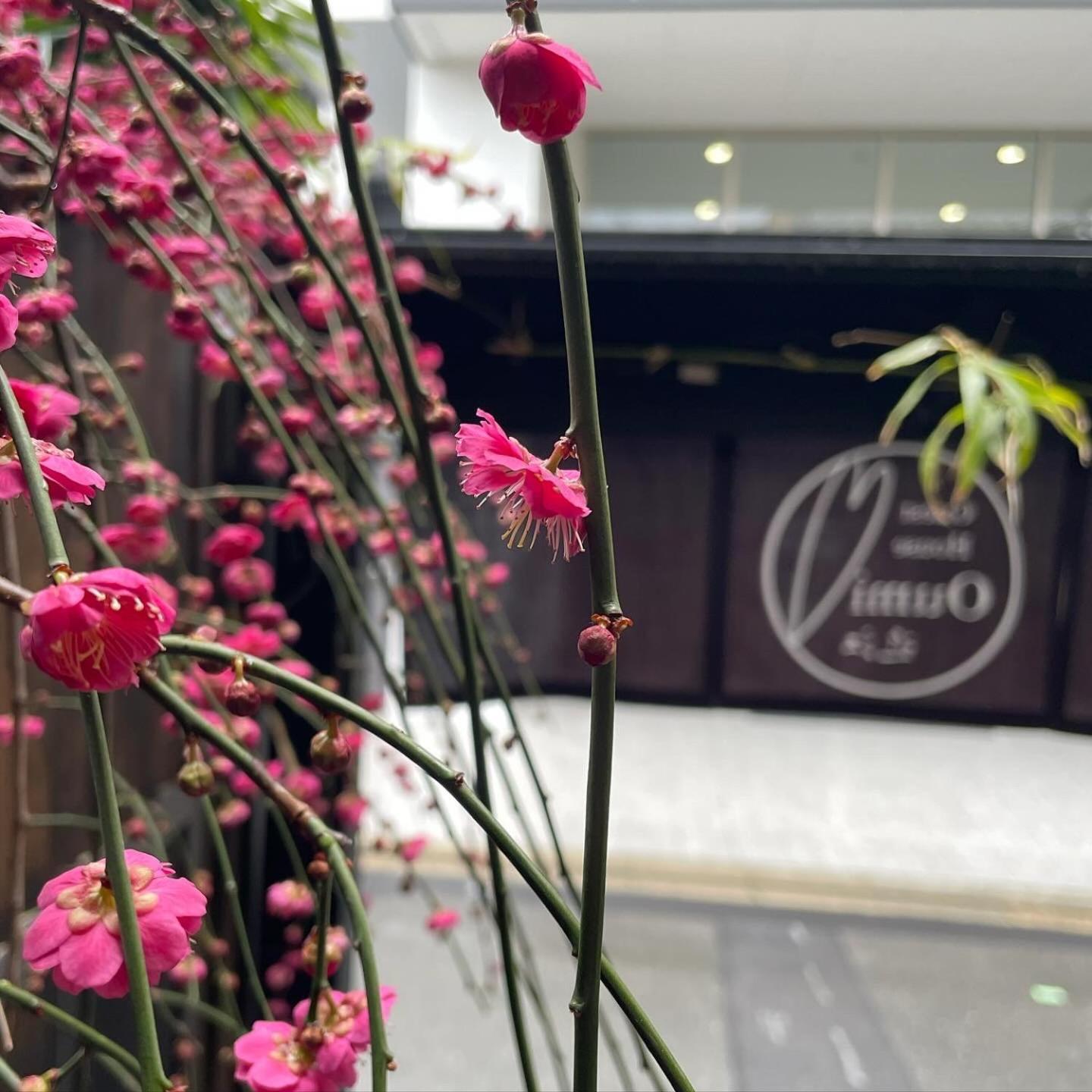 Guest House Oumi Kyoto Bagian luar foto